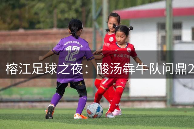 榕江足球之夜：酸汤犇牛队问鼎2026贵州村超总冠军